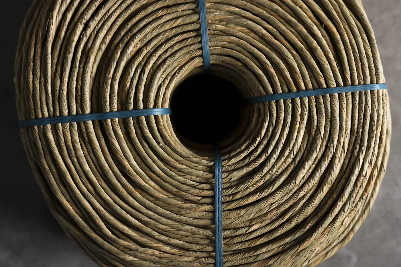 Marsh Grass - Image 4
