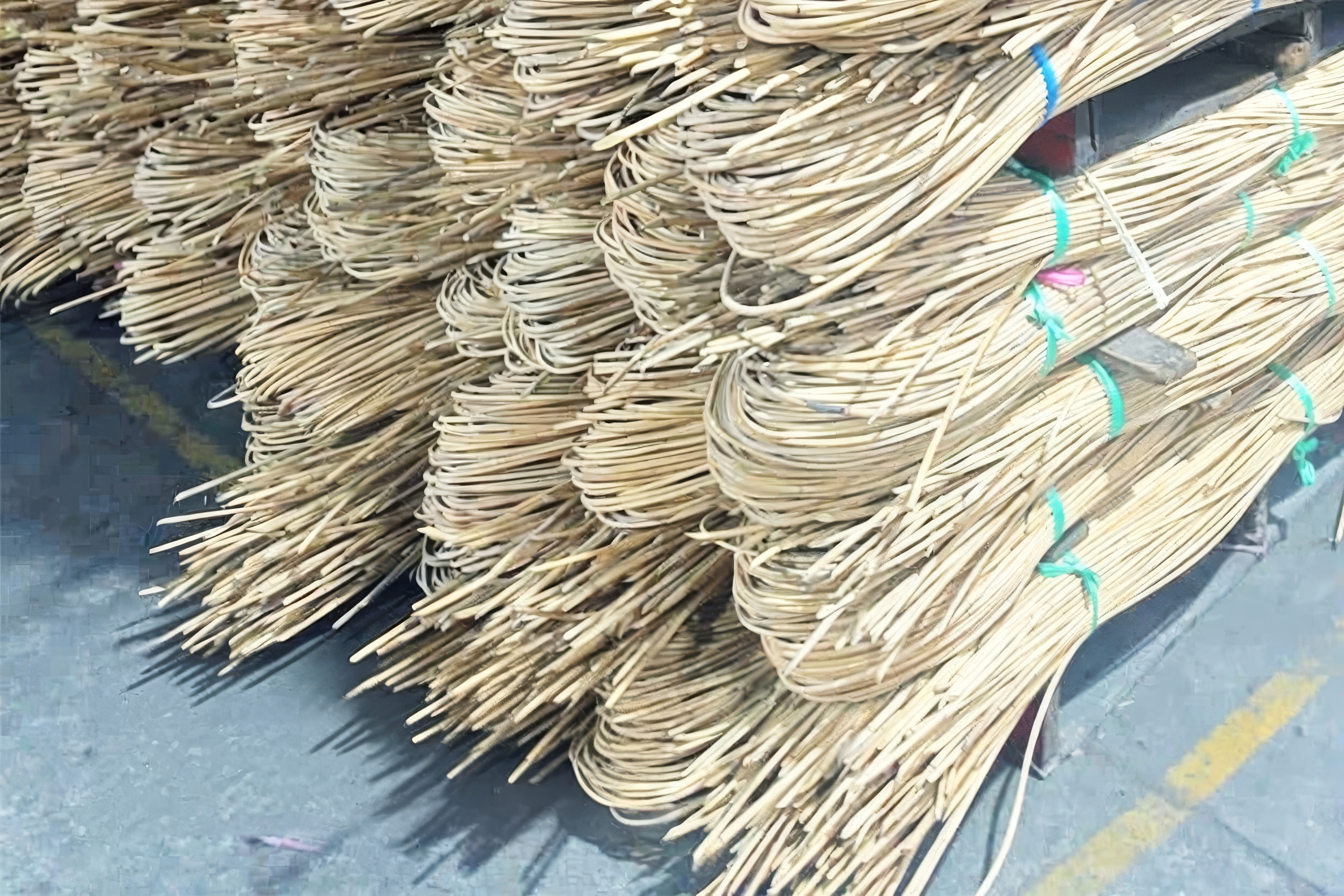 Lunty Reed - Image 4