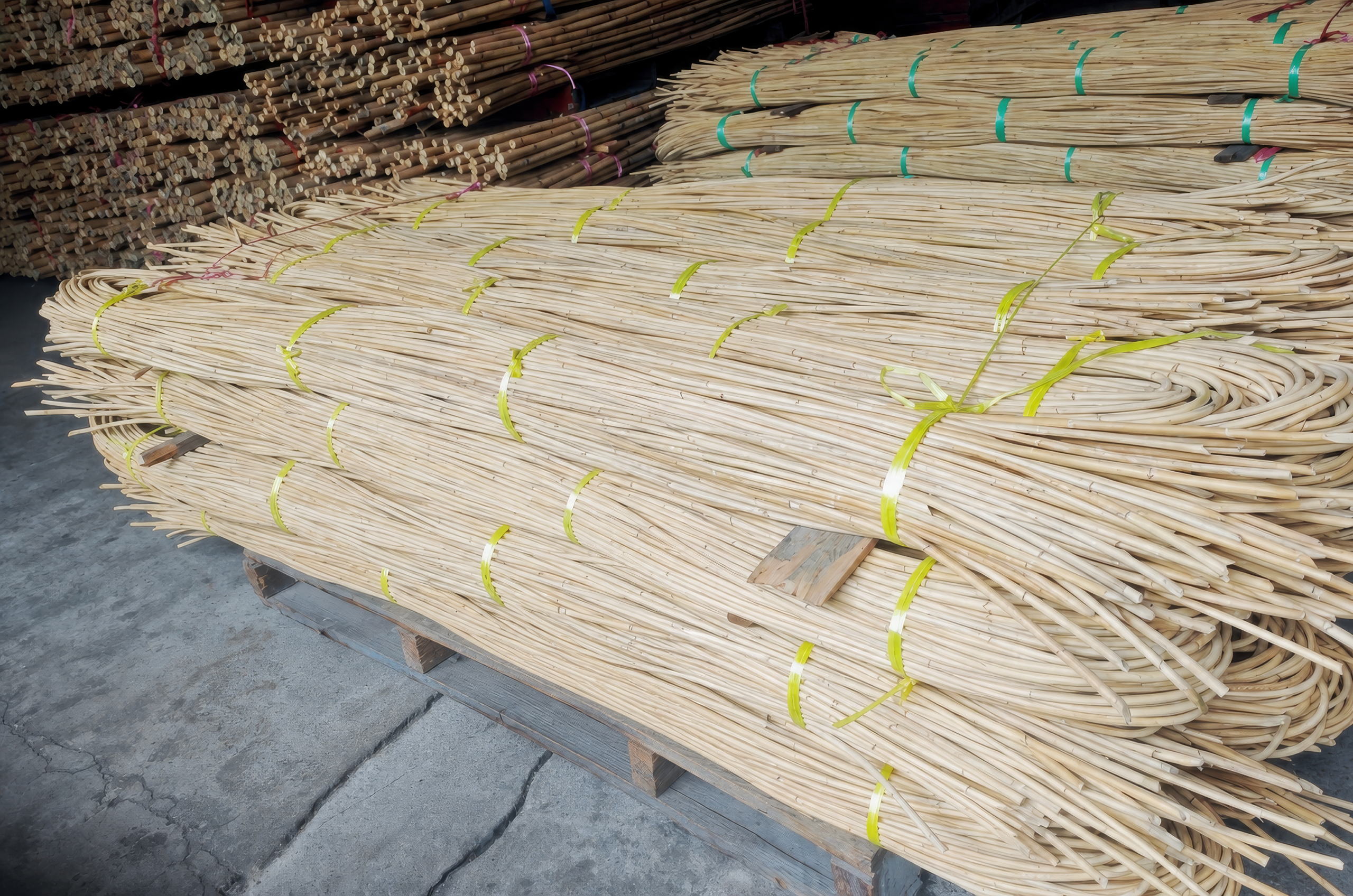 Lunty Reed - Image 3