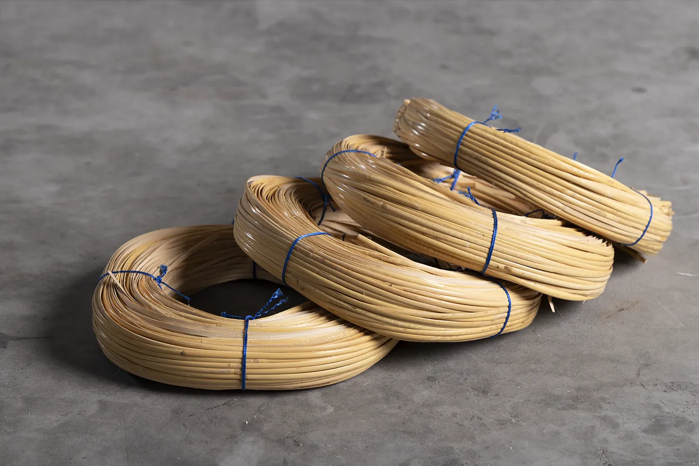 Reed Bark - Image 3