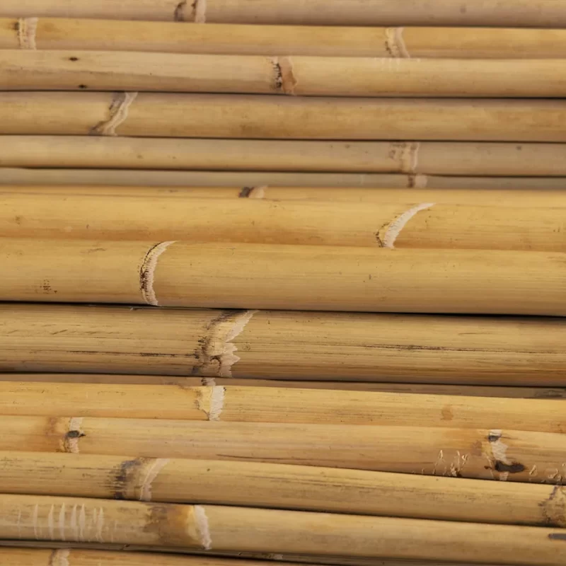 Manao naturale con corteccia